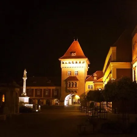 Modern Medival